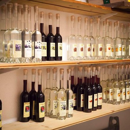 Weinbau Pronegg Vlg. Krainz Apartment Leutschach Ngoại thất bức ảnh