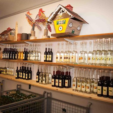 Weinbau Pronegg Vlg. Krainz Apartment Leutschach Ngoại thất bức ảnh